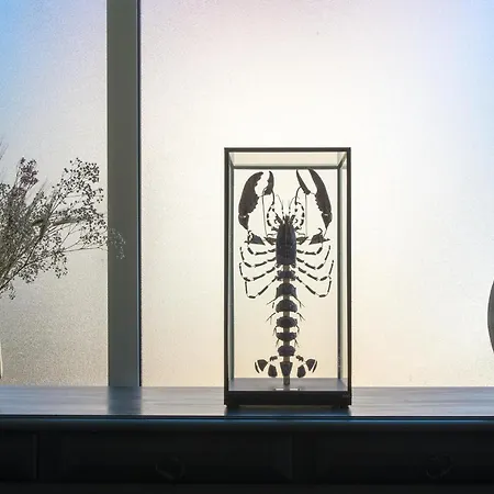 Le Homard Bleu Сен-Трожан-ле-Бен