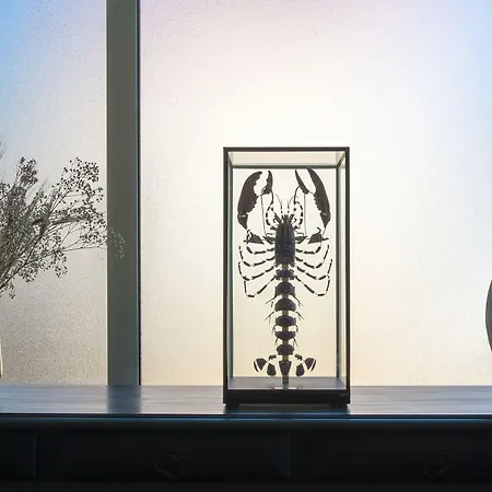 Le Homard Bleu Hotel Saint-Trojan-les-Bains