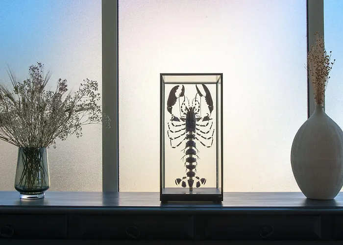 Le Homard Bleu Hotel Saint-Trojan-les-Bains